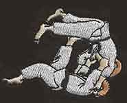 Judo badge