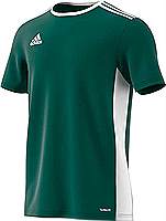 Adidas Entrada 18 Jersey Collegiate Green/White 