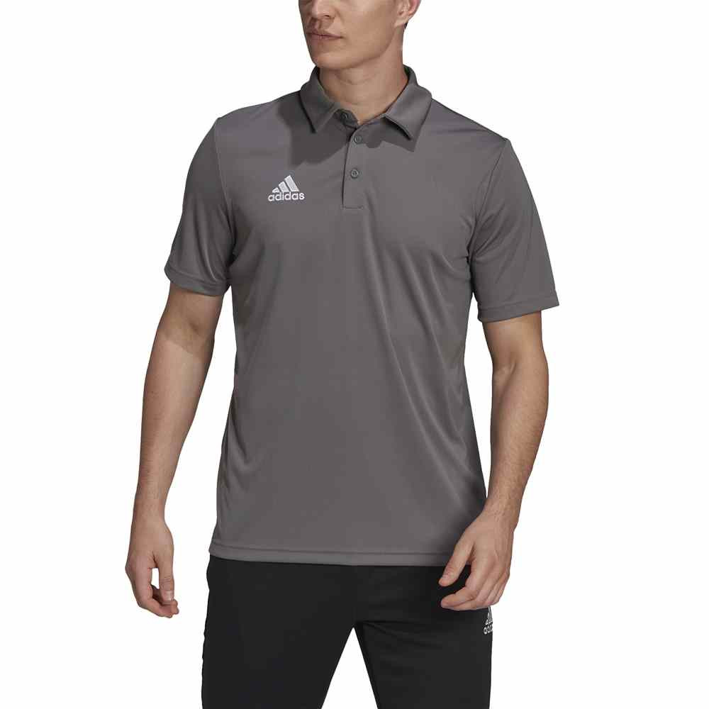 Adidas Entrada 22 Polo shirt