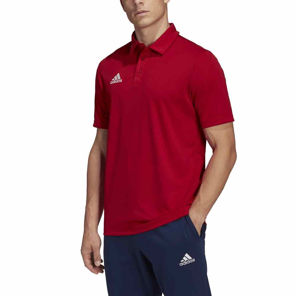 Adidas Entrada 22 Polo shirt