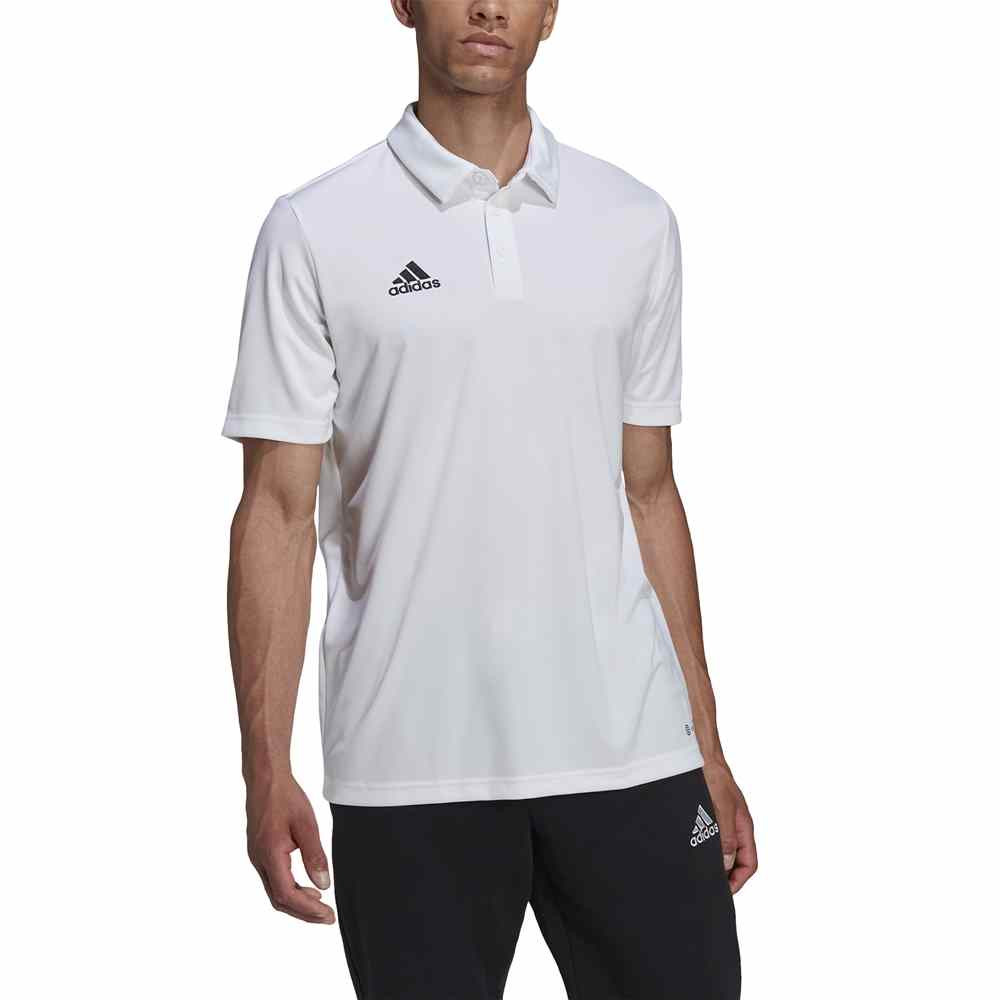 Adidas Entrada 22 Polo shirt