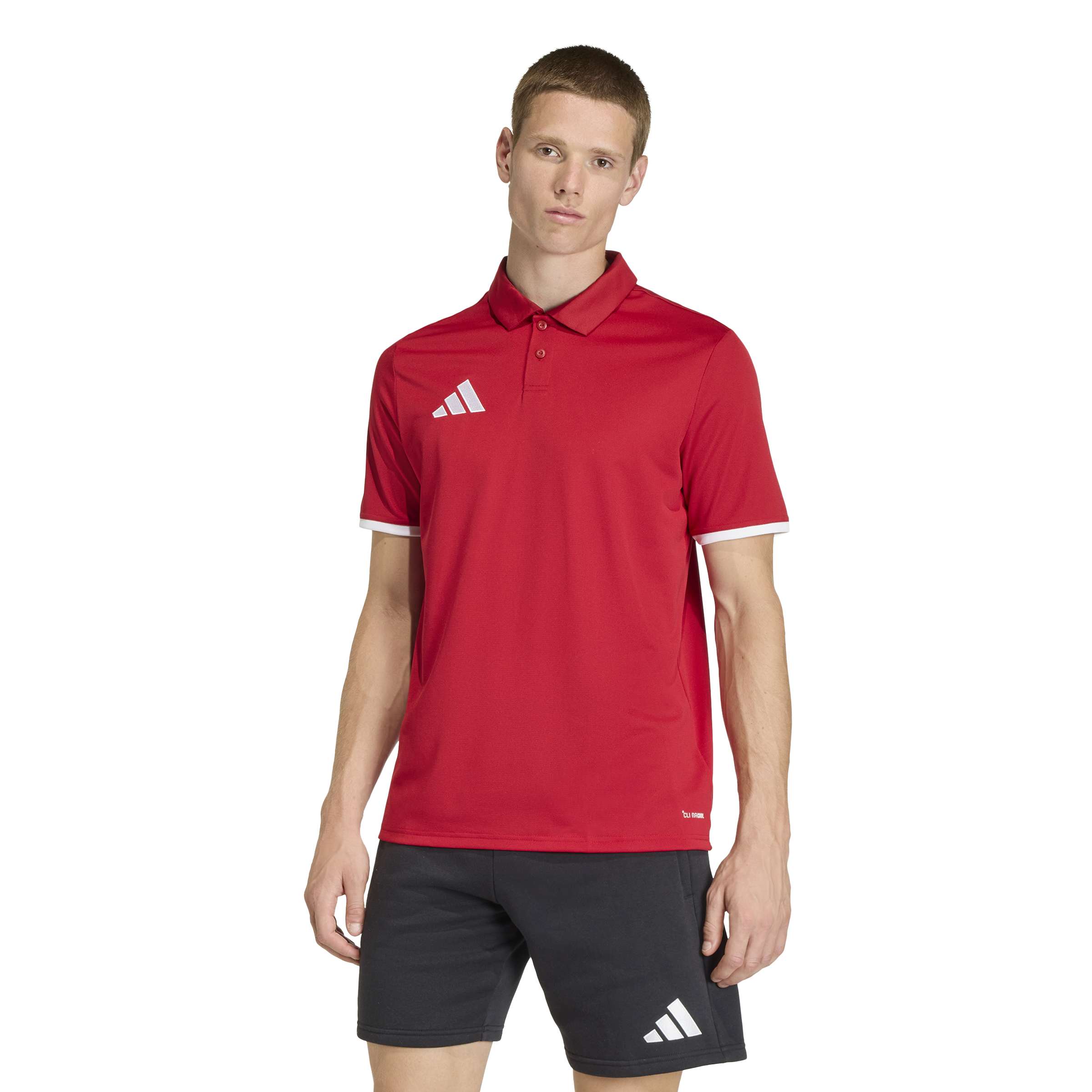 adidas Entrada 26 Polo Shirt red