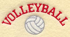 volleyball badge 2
