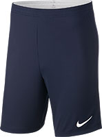 nike academy 18 knit shorts