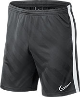 nike academy 19 shorts