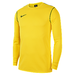 Nike Park 20 Crew top Tour Yellow