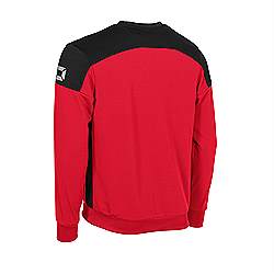 pride round neck top rear