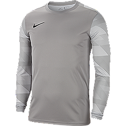 nike park goali top silver