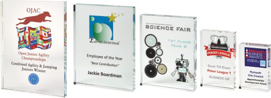 vesta award